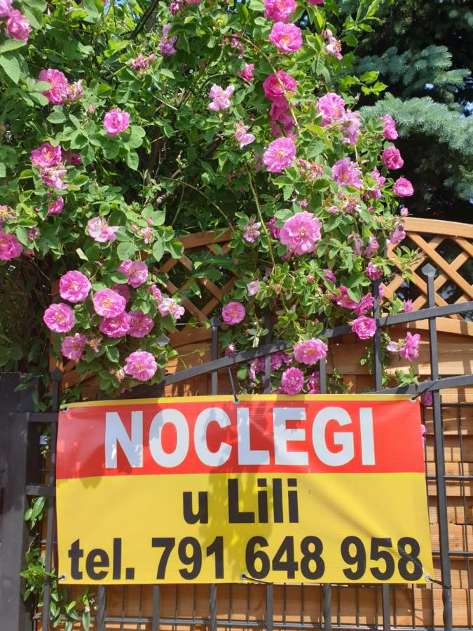 Noclegi U Lili Człuchów 外观 照片